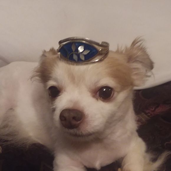 Meet your Posher, Bethany - Picture 1 of 1